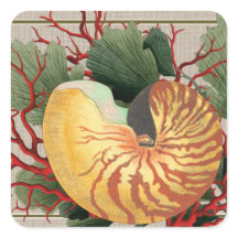 Vintager Strand Seashell & Red Coral