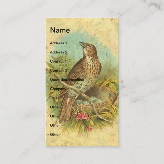 Vintager Stress Visitenkarte (Vorderseite)