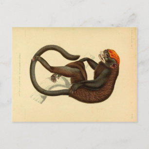 Vintager Tamarin-Affe mit Grinsen Postkarte