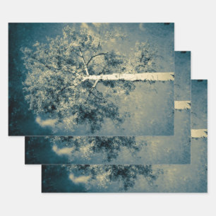 Vintager Texturwald gegen grauen Himmel Geschenkpapier Set