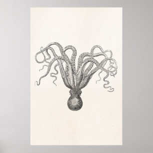 Vintager Tintenfisch Geulpe Acht bewehrter Kuttelf Poster