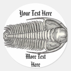Vintager Trilobite Aufkleber