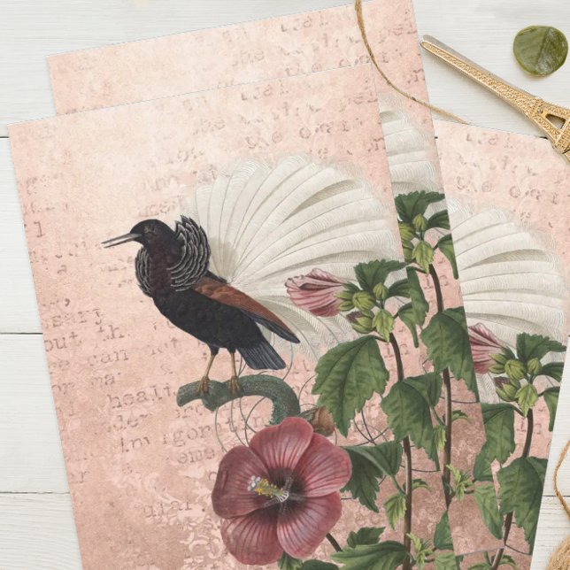 Vintager tropischer Vogel Seidenpapier (Von Creator hochgeladen)