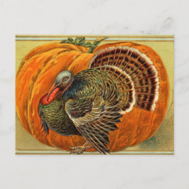 Vintager türkischer Erntedank Postkarte