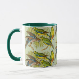 Vintager Türkissittich Tasse