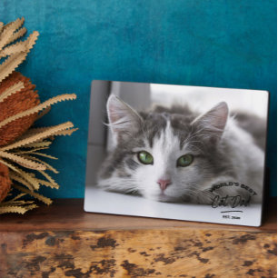 Vintager Vater Tag Beste Katze Vater Foto Plaque Fotoplatte