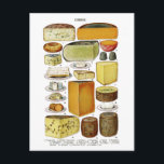 Vintager Viktorianischer Käse - Sorten Postkarte<br><div class="desc">Diese wunderbare Vintage Darstellung des Käses stammt aus dem Viktorianischen Buch "Mrs. Beeton's Book of Household Management" aus dem Jahr 1861. Ich habe die Verfärbung des alten Originals aufgeräumt und es ist leicht vorstellbar, was für ein schönes altes Buch das sein muss! Wenn Käse Ihr Lieblingsessen ist, oder wenn Sie...</div>