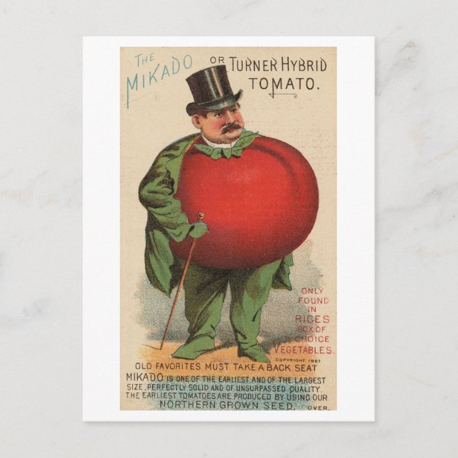 Vintager Viktorianischer Mann mit Tomatenkörper Postkarte (Vorderseite)