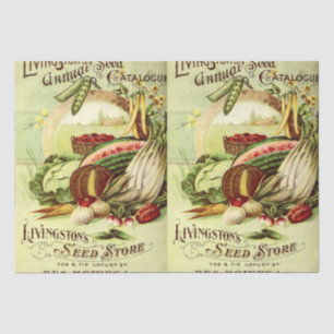Vintager Viktorianischer Zeitrasterkatalog Seidenpapier