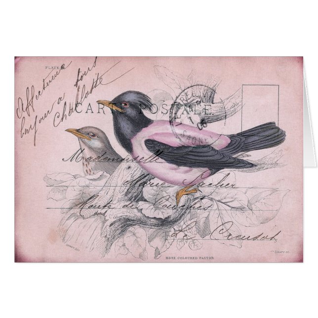 Vintager Vogel (Vorderseite (Horizontal))