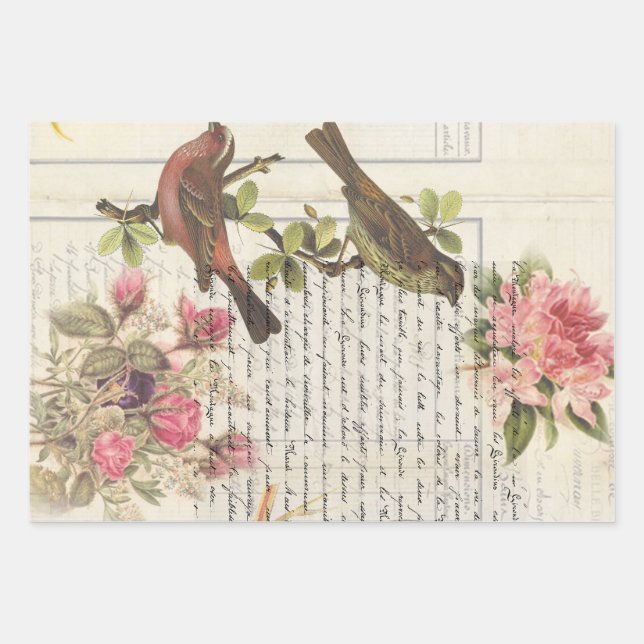 Vintager Vogel-Decoupage Botanische Ephemonie Geschenkpapier Set (Vorderseite)