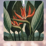 Vintager Vogel des Paradieses Botanischer Flora-Te Ornament Aus Metall<br><div class="desc">Dieses exotische Paradiesvogel zeigt das phantastische Vintage botanische Kunstwerk von Dr. Robert John Thornton über die Sammlung Temple of Flora. Die großen exotischen Pflanze in Orange bilden einen Kontrast zum üppigen tropischen Blattwerk. Dieses öffentliche Bild wird über eine Buchsammlung der Bibliothek zum Schutz der biologischen Vielfalt zur Verfügung gestellt.</div>