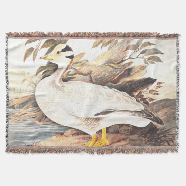 Vintager Vogel Elizabeth Gwillim Bar-Gans Decke (Vorderseite)