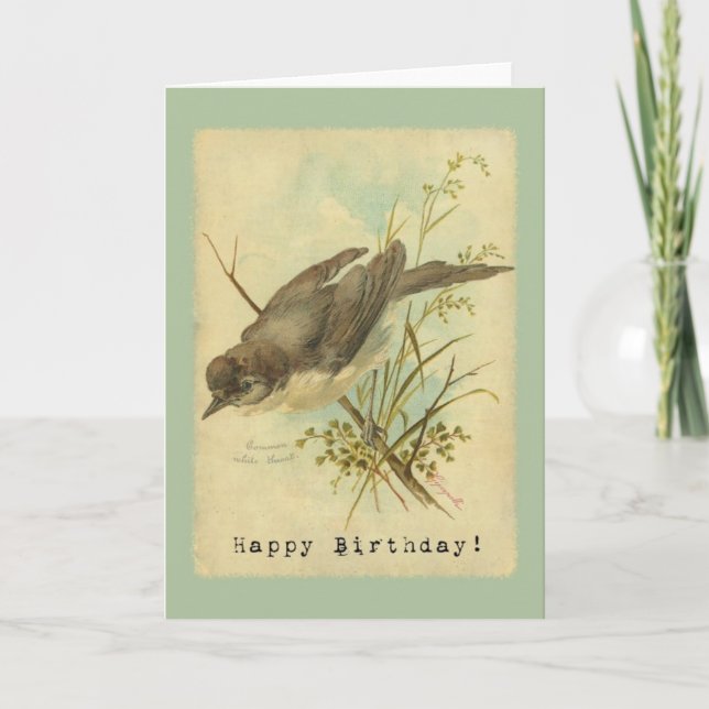 Vintager Vogel, Geburtstag Karte (Vorderseite)