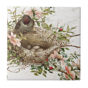 Vintager Vogel in der Nest-Tierwerbung Fliese
