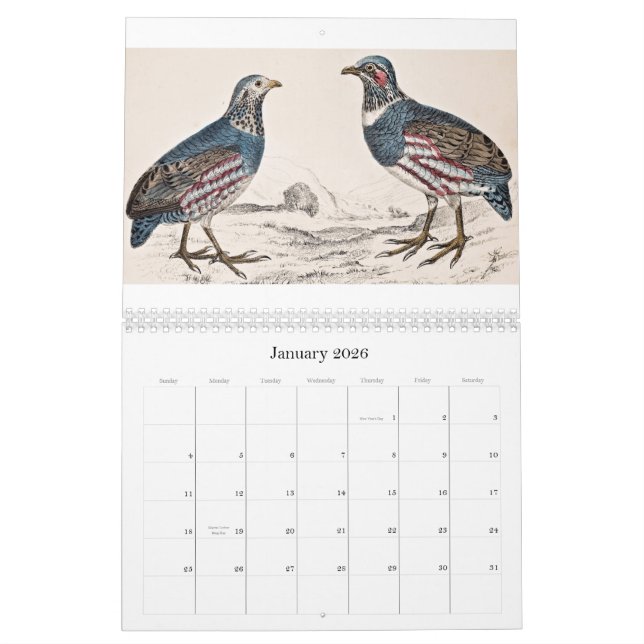 Vintager Vogel-Kalender - 2013 Kalender (Jan 2026)