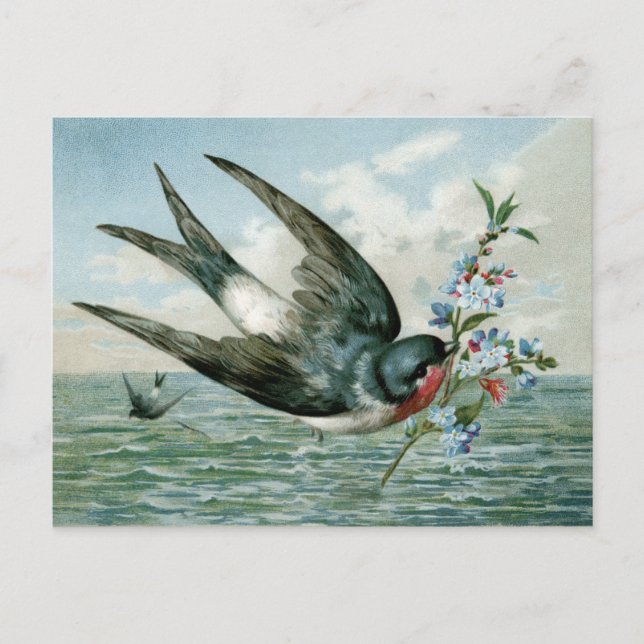 Vintager Vogel mit blühender Zweigstelle Postkarte (Vorderseite)
