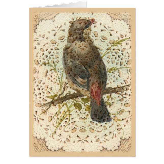 Vintager Vogel und Doilie (Vorne)