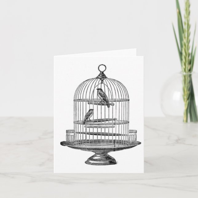 Vintager Vogelkäfig mit Vögeln...notecard Karte (Vorderseite)