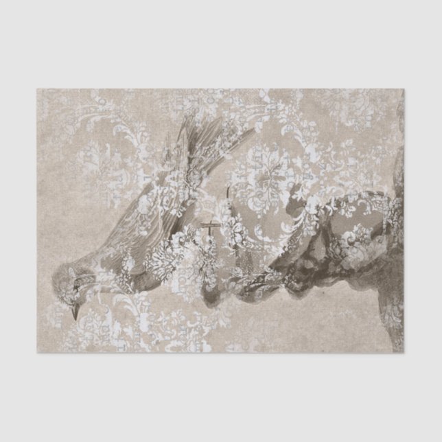 Vintager Vogelstoß Seidenpapier (Vorderseite)