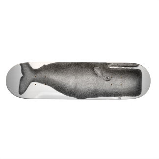 Vintager Wal Skateboard