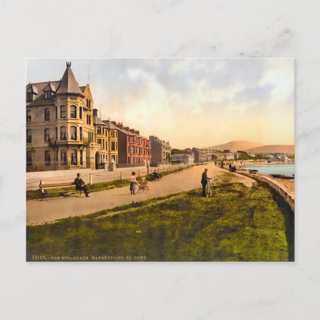 Vintager Warrenpoint-Landkreis nach Irland Postkarte (Vorderseite)