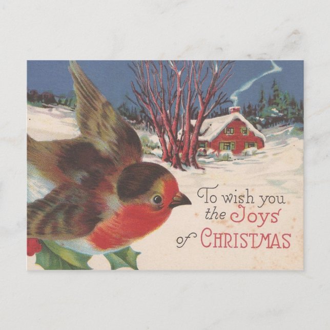 Vintager Weihnachtswinter-Vogel Feiertagspostkarte (Vorderseite)
