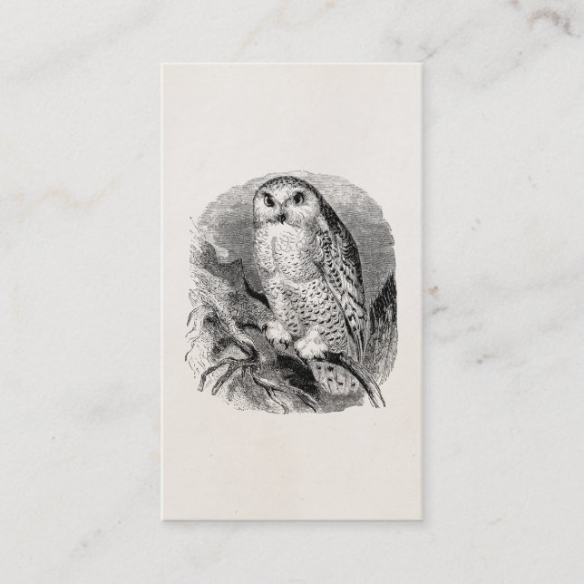 Vintager weißer Eulen-Vogel-personalisierte Visitenkarte (Vorderseite)