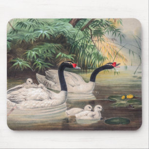 Vintager Wild Black Necked Swan Mousepad