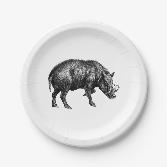 Vintager Wildschwein Zeichnend BW Pappteller (Vorderseite)