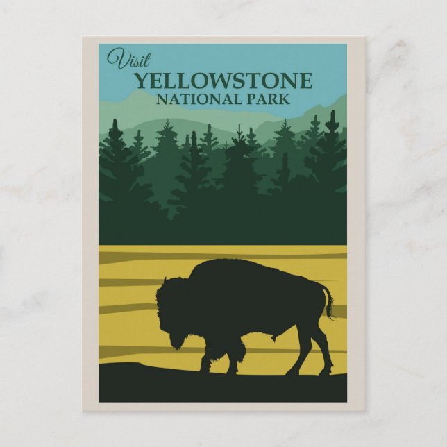 Vintager Yellowstone-Nationalpark Buffalo Postkarte (Vorderseite)