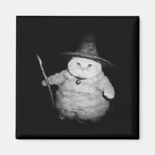 Vintager Zauberkatze Seltsames Halloween Cat Meme Magnet
