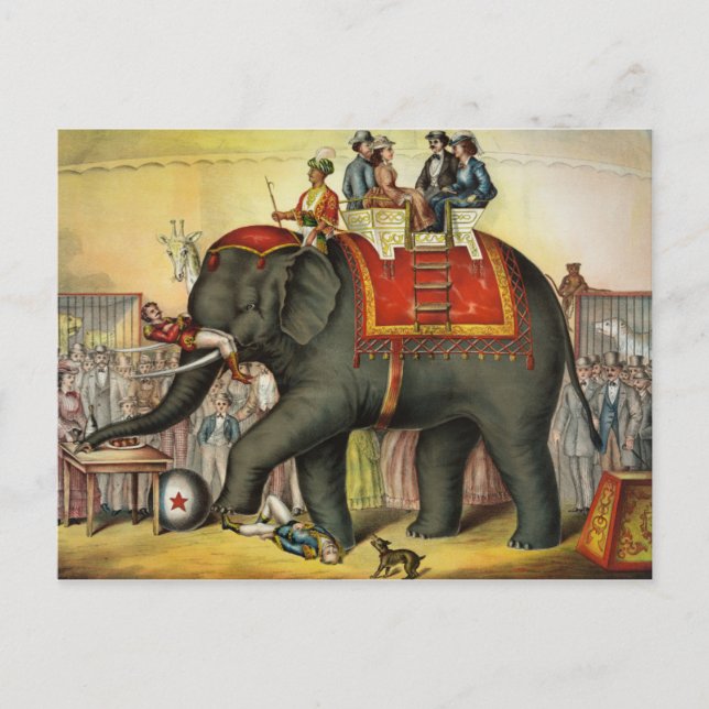 Vintager Zirkus Postkarte (Vorderseite)