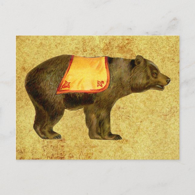Vintager Zirkusbär Postkarte (Vorderseite)