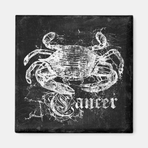 Vintager Zodiakarzinom Magnet