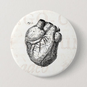Vintages 1800s Herz-Retro Herzanatomie-Herzen Button