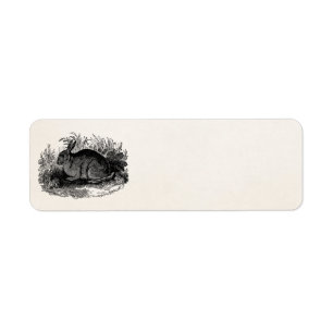 Vintages 1800s Kaninchen-Retro
