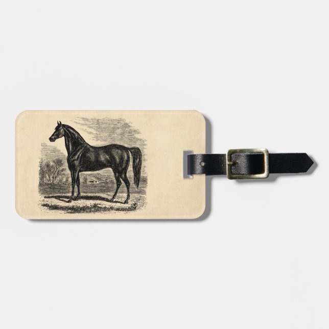 Vintages 1800s Pferd - Morgan-Reiter-Schablone Gepäckanhänger (Vorderseite horizontal)