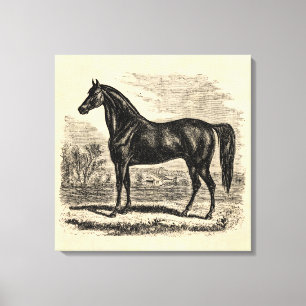 Vintages 1800s Pferd - Morgan-Reiter-Schablone Leinwanddruck