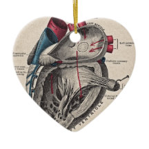 Vintages anatomisches Herz