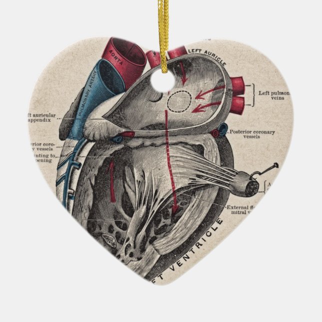Vintages anatomisches Herz Keramikornament (Vorne)