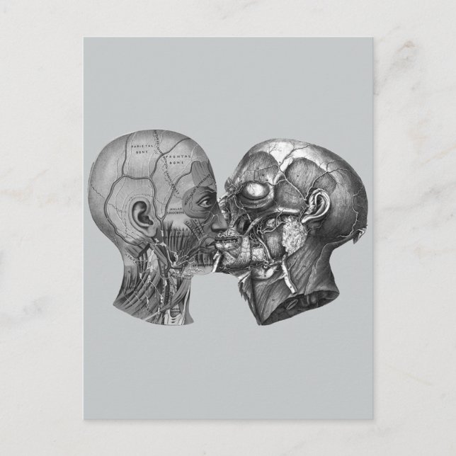 Vintages Anatomisches Küssen Postkarte (Vorderseite)