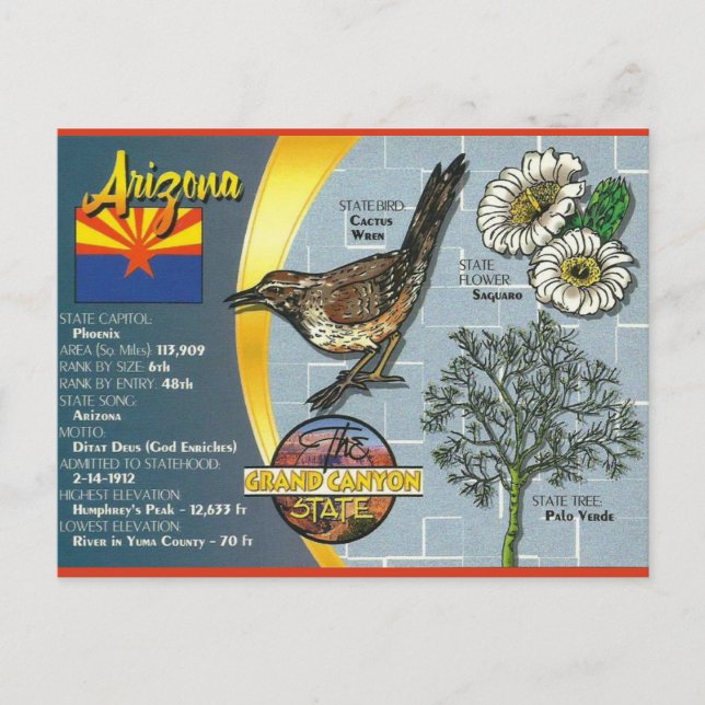 Vintages Arizona Der Staat Grand Canyon Postkarte (Vorderseite)