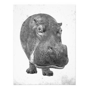 Vintages Arthippopotamus-Plakat/Druck! Fotodruck