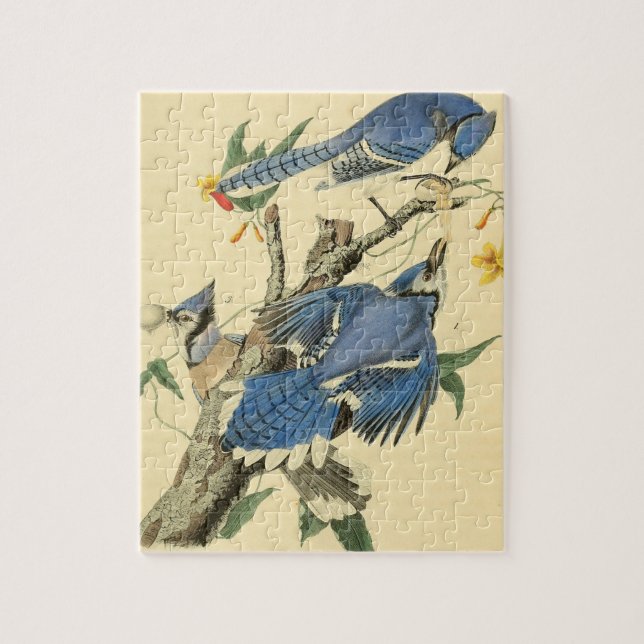 Vintages Audubon Blue Jay Bird Malgeschenk (Vertikal)