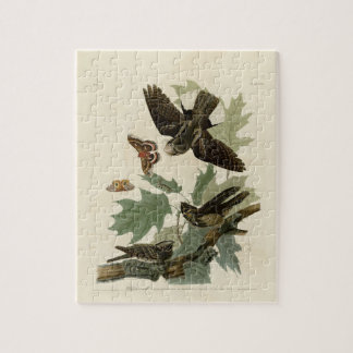 Vintages Audubon-Malgeschenk mit mangelndem Willen