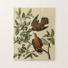 Vintages Audubon-Märchengeschenk