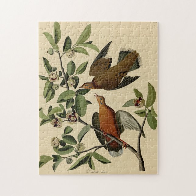 Vintages Audubon-Märchengeschenk (Vertikal)