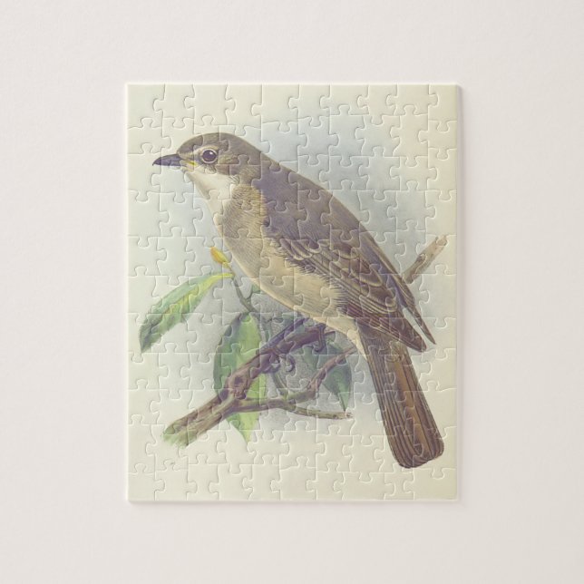 Vintages Aussehen, Vogelperspektive auf einem Zwei (Vertikal)