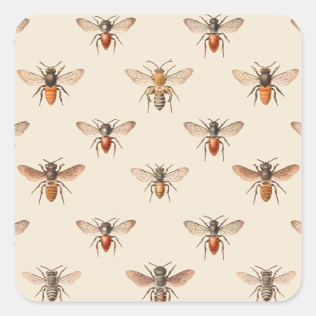 Vintages Bienenillustrationsmuster Quadratischer Aufkleber (Vorderseite)